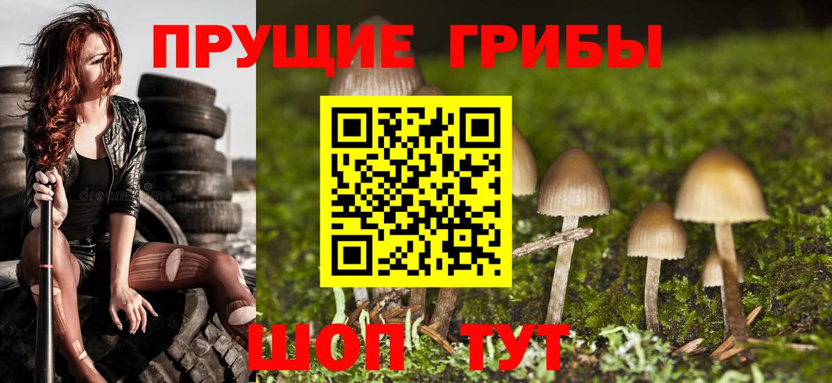 Псилоцибиновые грибы Cubensis Рассказово