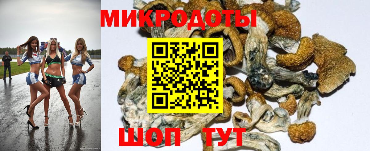 сколько стоит  Псилоцибиновые грибы Magic Shrooms  Вход с VPN  Псилоцибиновые грибы Psilocybine cubensis  Рассказово 